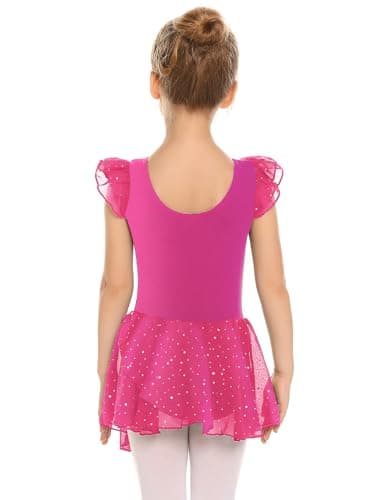 Girls Ballet Dance Dress with Ruffle Sleeves