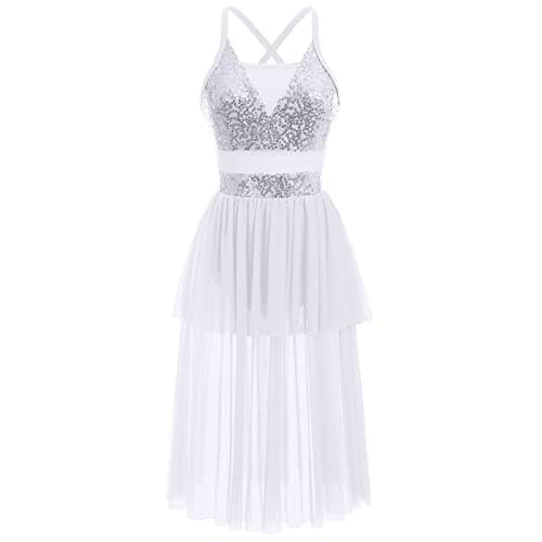 Modern Ballet Tulle Dress for Women