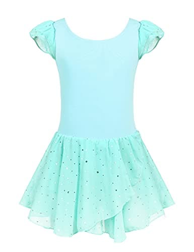 Girls Ballet Dance Dress with Ruffle Sleeves