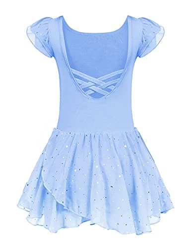Girls Ballet Dance Dress with Ruffle Sleeves