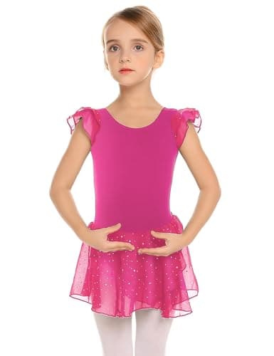 Girls Ballet Dance Dress with Ruffle Sleeves