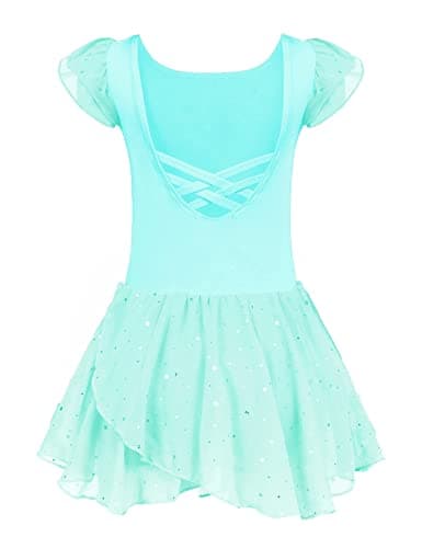 Girls Ballet Dance Dress with Ruffle Sleeves