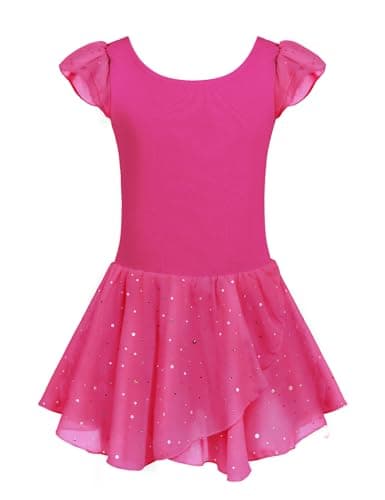Girls Ballet Dance Dress with Ruffle Sleeves