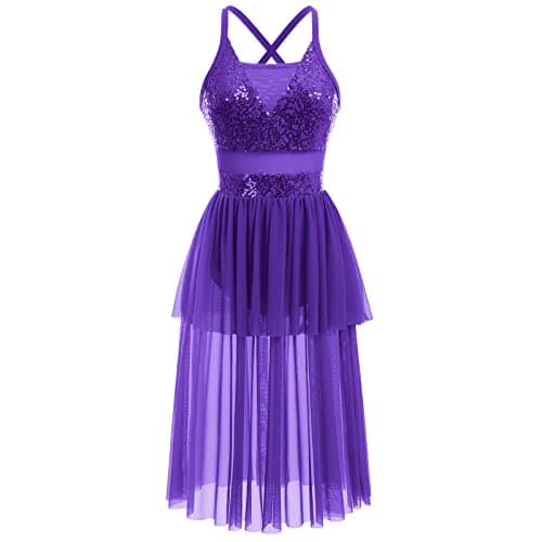 Modern Ballet Tulle Dress for Women