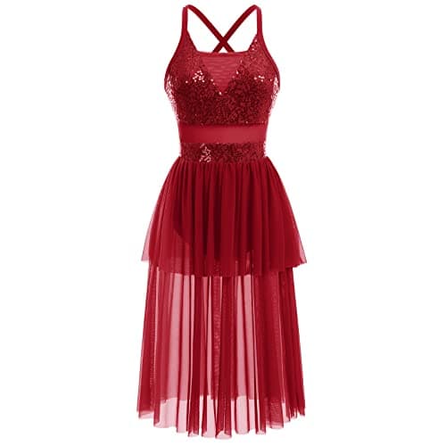 Modern Ballet Tulle Dress for Women